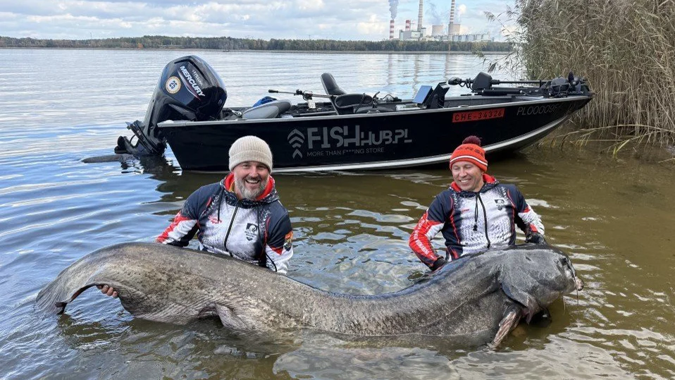 Le silure de 292 cm de Krzysztof Pyra et Adrian Gontarz, retenue de Rybnik, 19 octobre 2025.