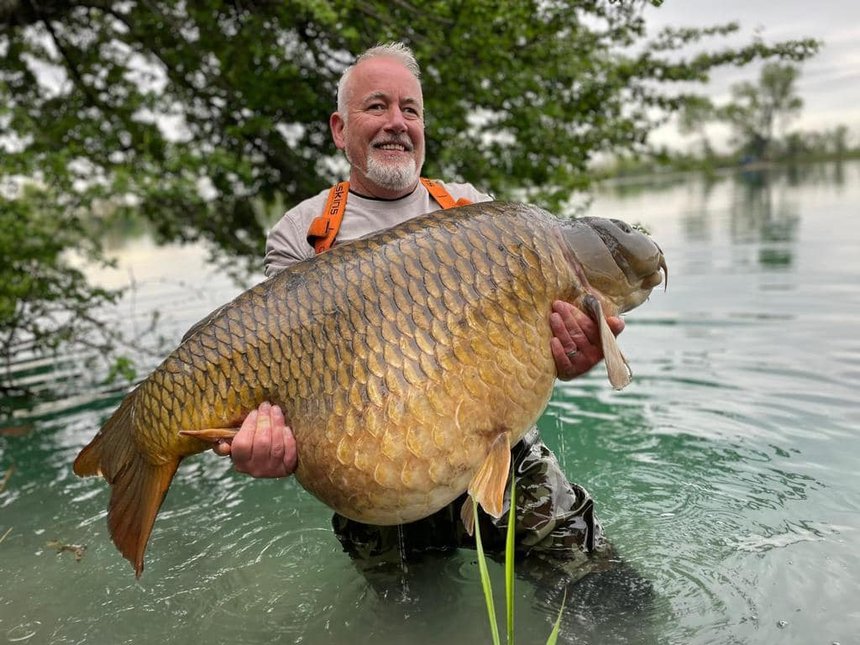 Record carpe commune au lac Parco Del Brenta en Italie