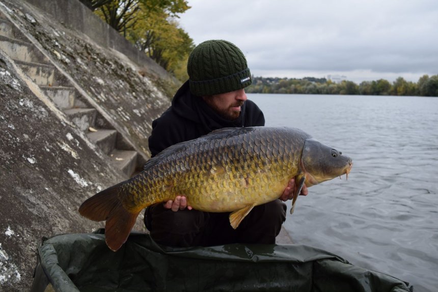 Pêche itinérante de la carpe en automne sur un fleuve urbain