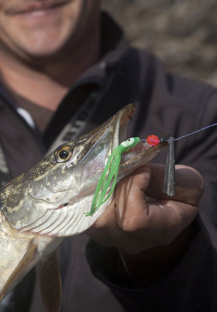 Réussir ses pêches d’hiver