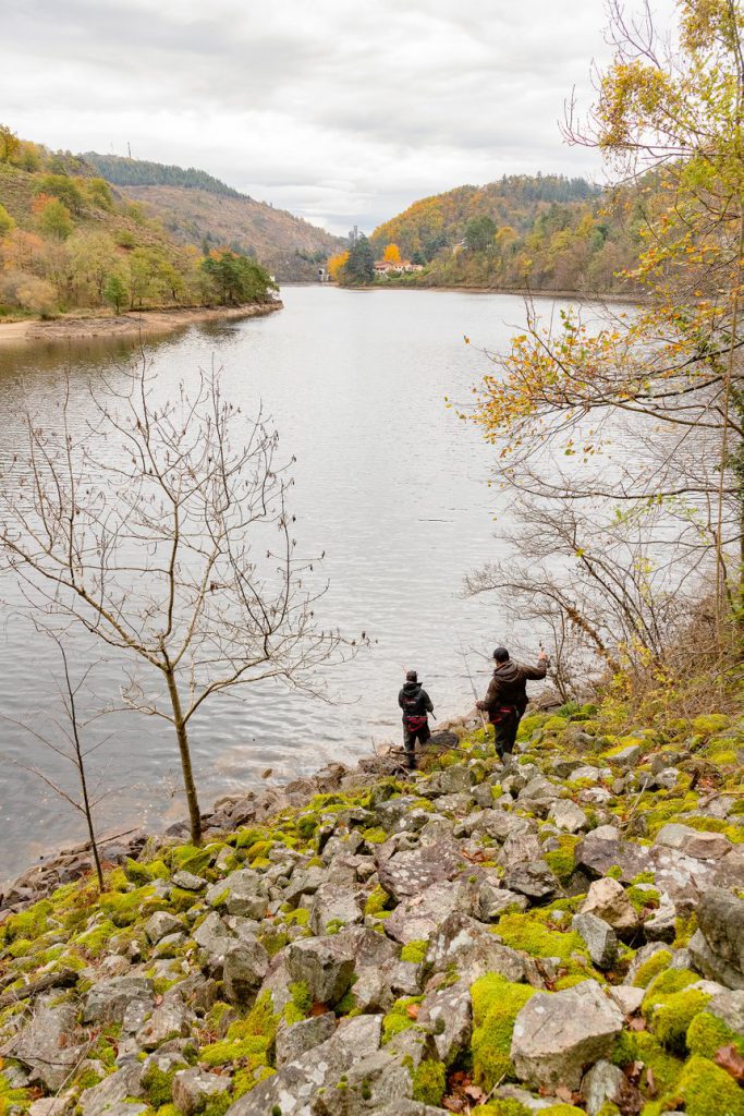 Carton de perches et sandres du bord avec les frères Couchoud sur Villerest et Grangent