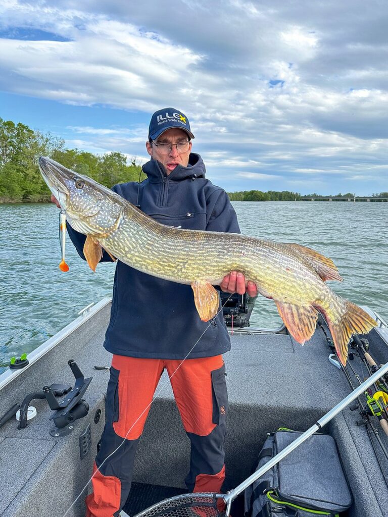 Quelle est la meilleure météo pour pêcher le brochet ? L’avis des spécialistes !