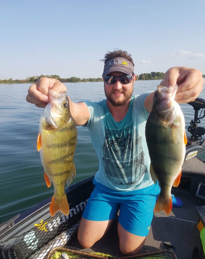 Quatre familles de leurres pour les perches en été