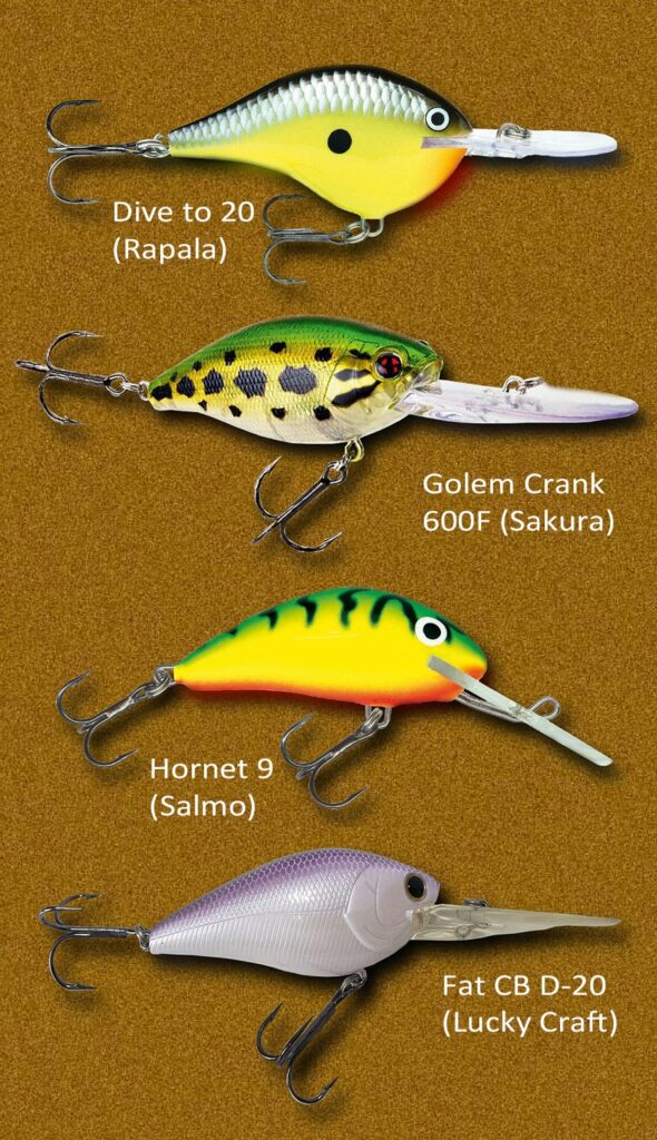 Crankbait et attractant, duo gagnant