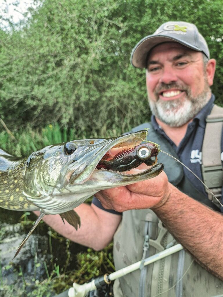 Perches et brochets : les conseils de Gaël Even pour les prendre en surface