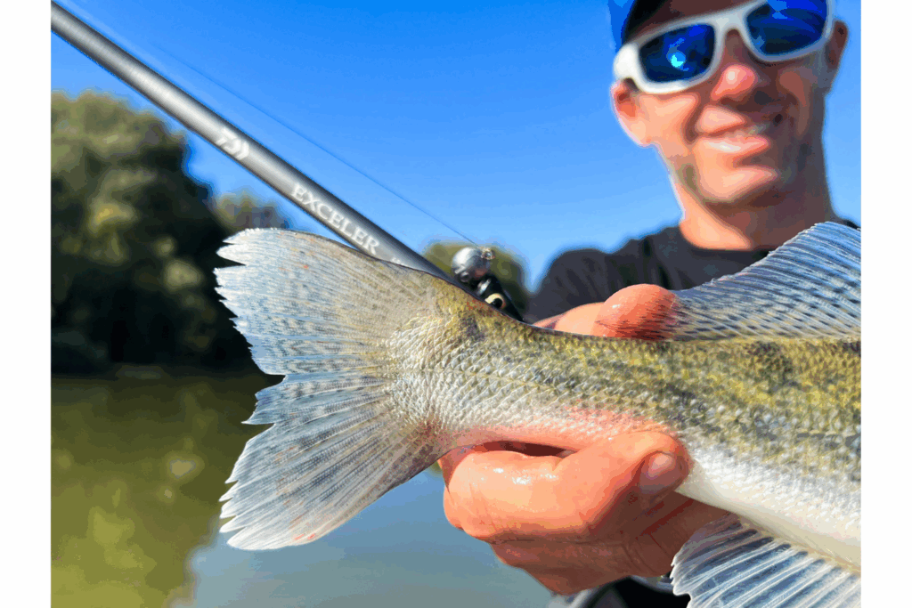 Nouveauté : Daiwa Exceler – la nouvelle ère d’une légende accessible.