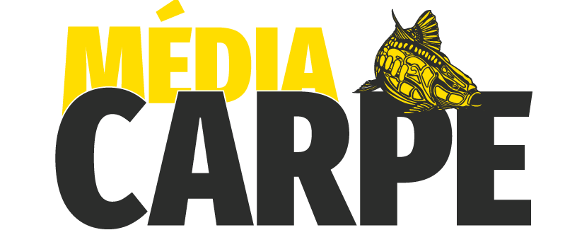 Second Logo