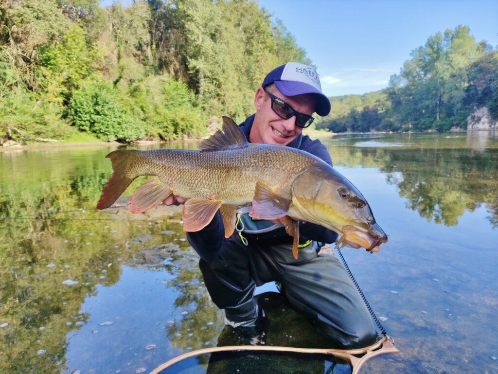 Barbeau pêché aux leurres souples, le plus sportif des poissons blancs en ultra-léger