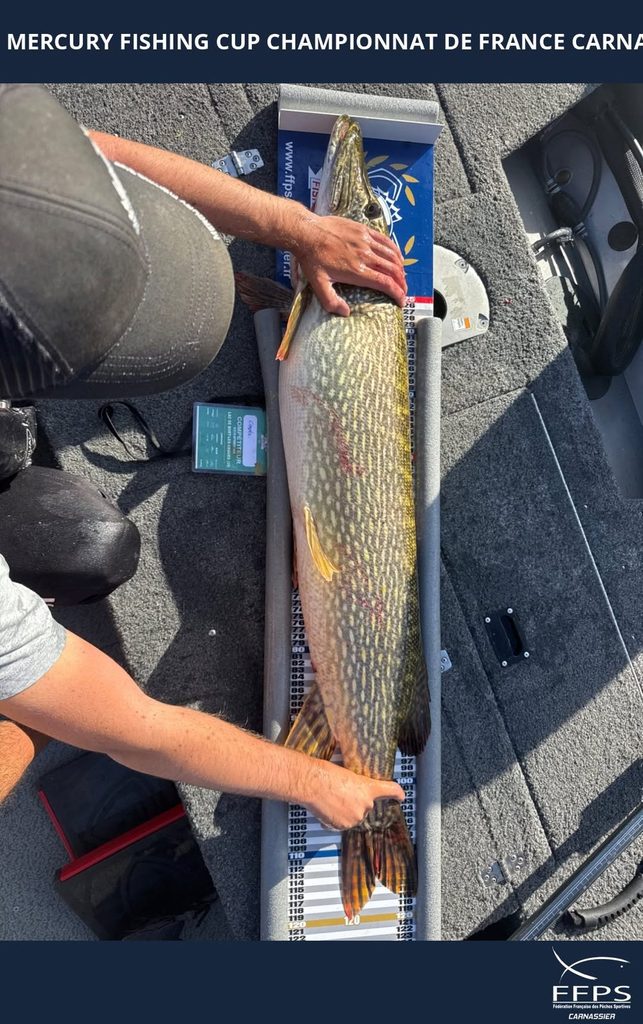 Brochet de 120 cm mesuré sur la toise lors de la Mercury Fishing Cup IV à Bort-les-Orgues