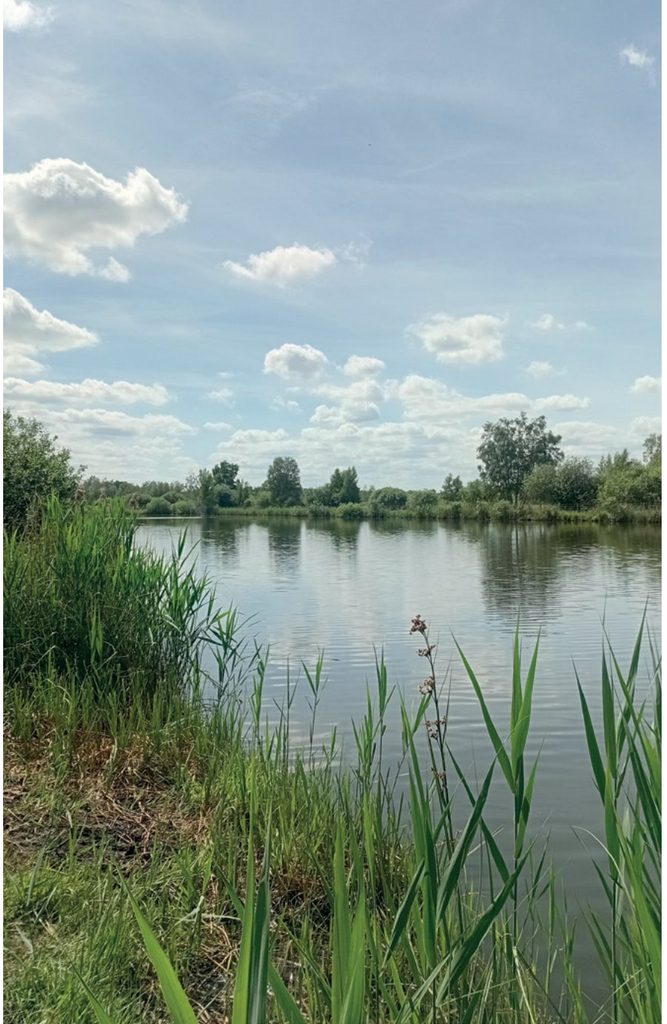 	Plan d'eau des marais de la Souche à Pierrepont dans l'Aisne, bordé de roselières, issu de l'extraction de la tourbe
