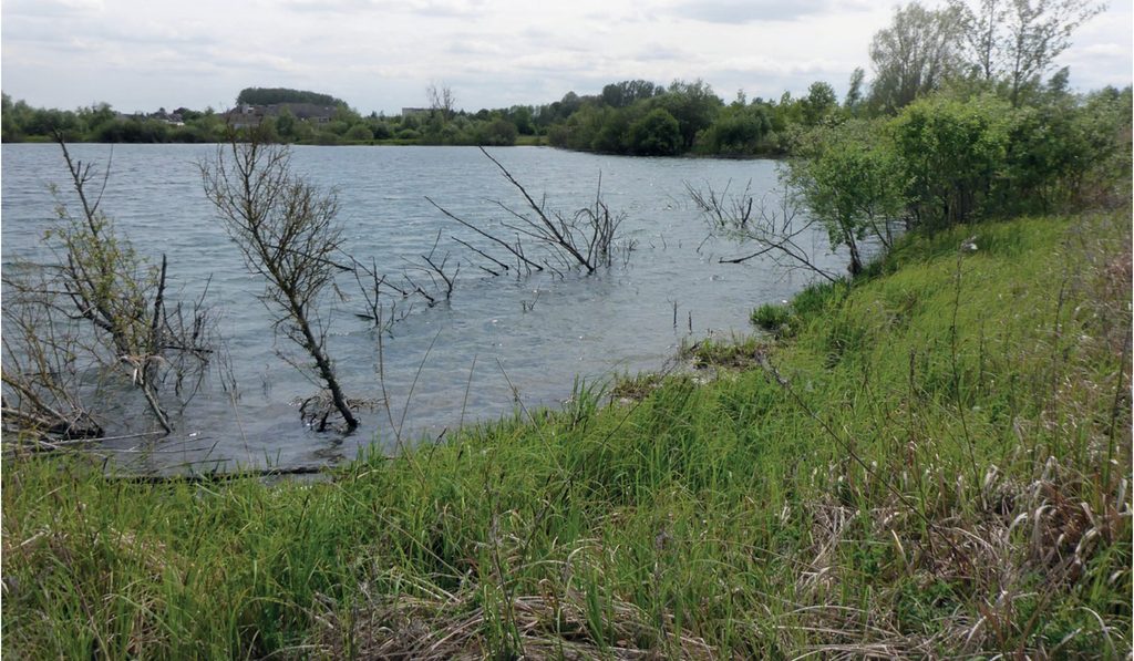 Le plan d'eau fédéral de la Vatroye à La Fère dans l'Aisne, avec ses arbres noyés et ses berges en prairie humide