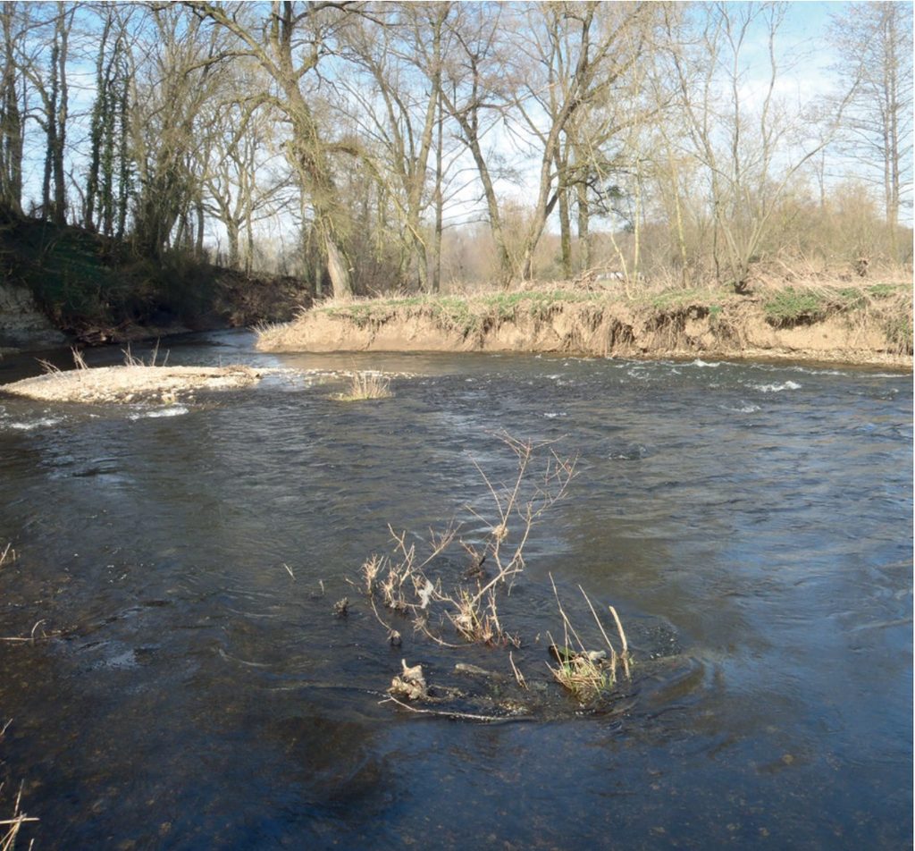 	La rivière Oise en amont dans l'Aisne, profil de rivière sauvage avec radiers et berges boisées