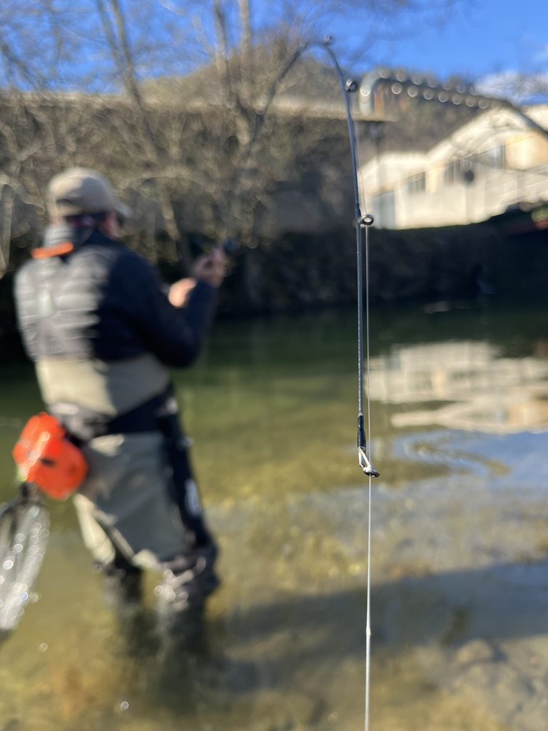 Canne truite Daiwa Presso Iprimi en action