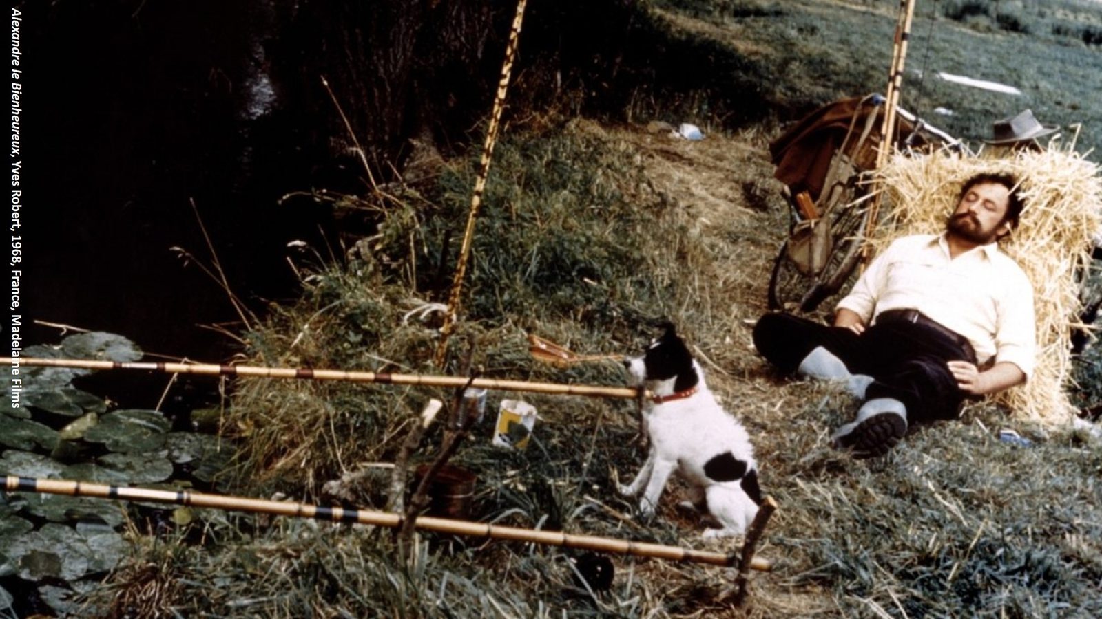 Philippe Noiret allongé dans l’herbe à côté de ses cannes à pêche et de son chien, dans Alexandre le Bienheureux
