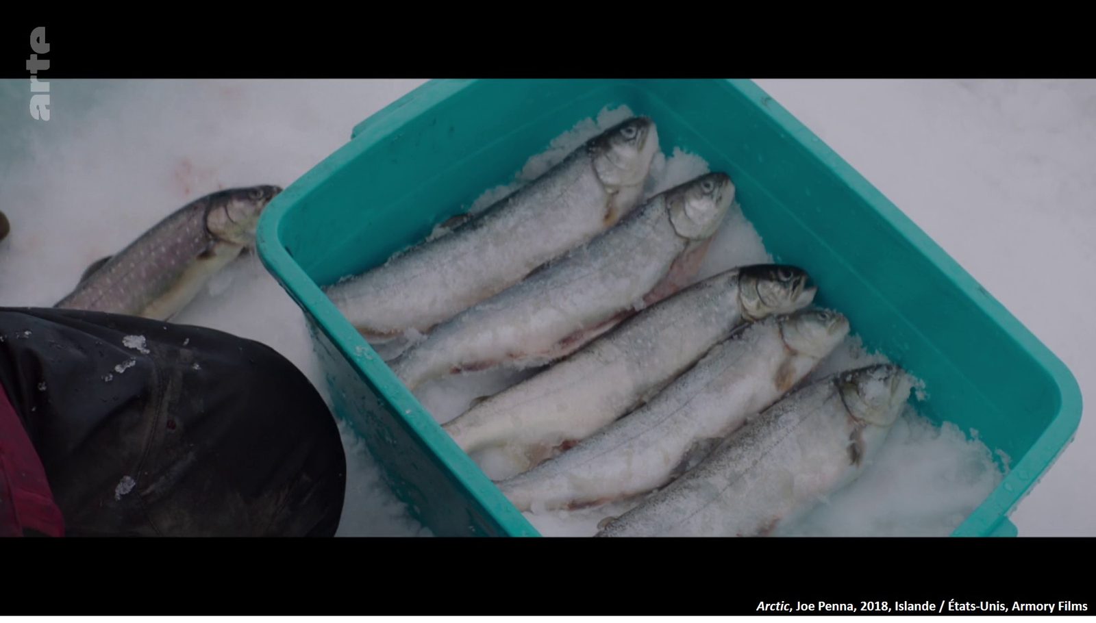 Bac rempli d’ombles posé sur la glace, image du film Arctic avec Mads Mikkelsen