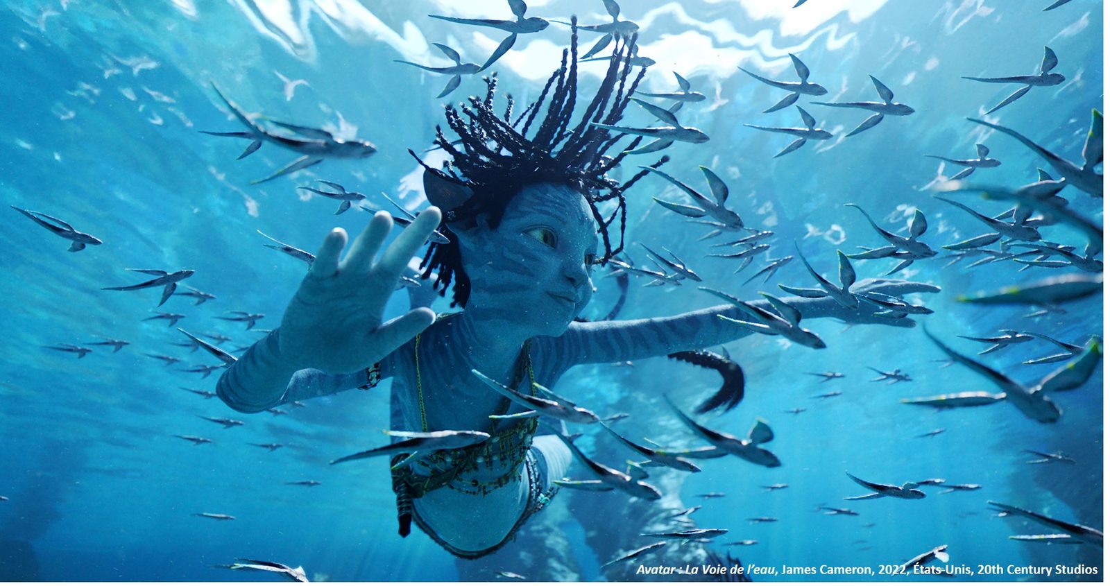 Une Na’vi nageant en apnée au milieu d’un banc de poissons, dans Avatar : La Voie de l’eau