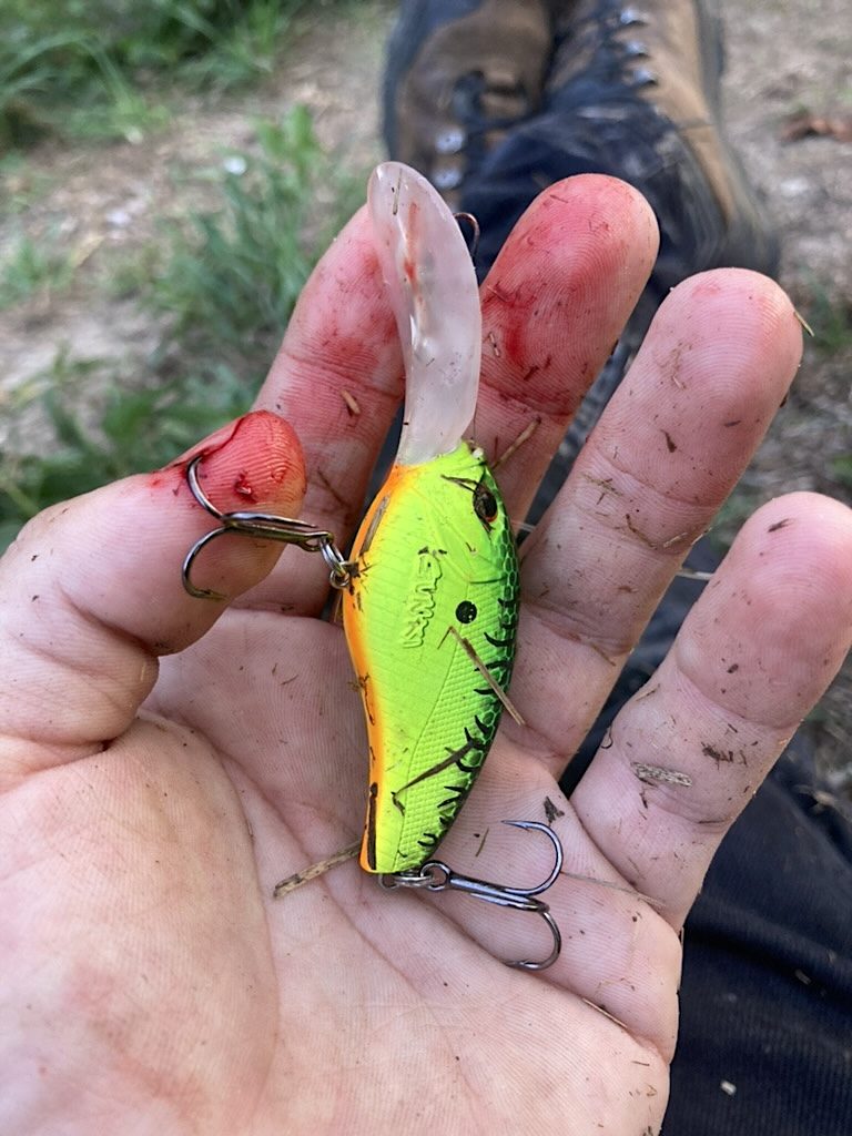 Main de pêcheur tenant un crankbait, un doigt blessé par l’un de ses triples