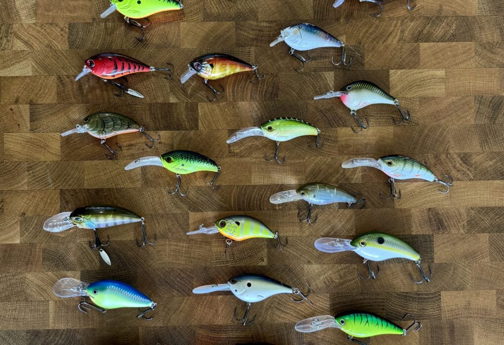 Collection de crankbaits de toutes formes et couleurs alignés sur un plan de travail en bois