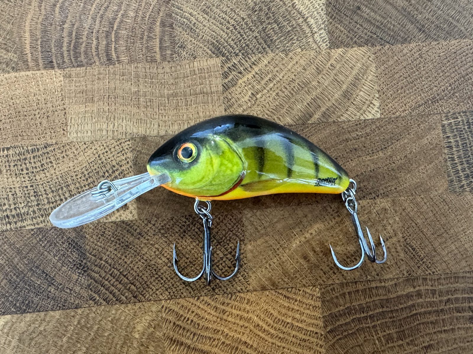 Deep crankbait Rattlin Hornet 6,5 de Salmo, à grande bavette