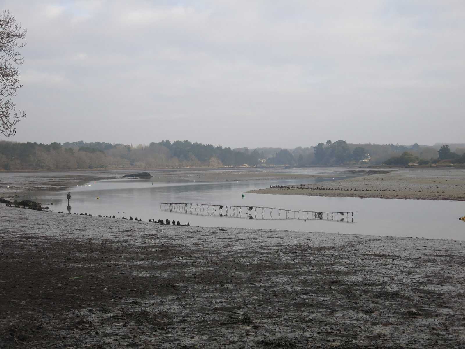 Estuaire breton à marée basse avec ses chenaux, ses vasières et une ligne de parcs