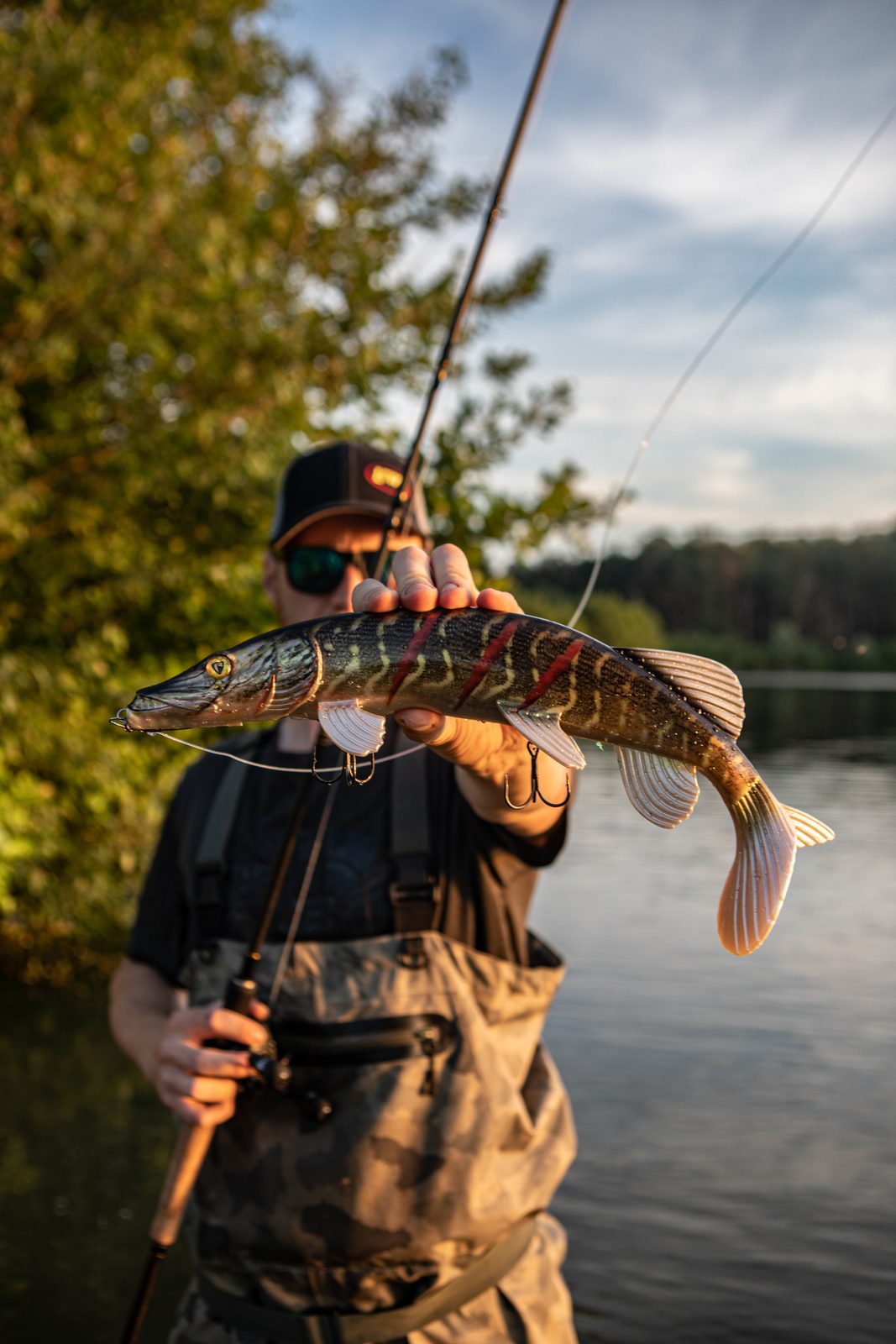 Pêcheur en waders tenant un très gros swimbait imitation perche destiné au brochet