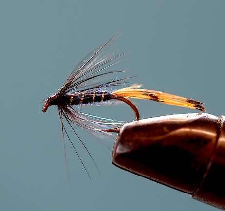 Mouche noyée Black Pennel, modèle irlandais pour la pêche en noyée