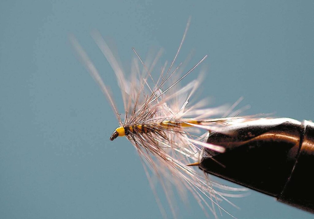 Mouche sauteuse de type grand palmer bourru pour la pêche en noyée