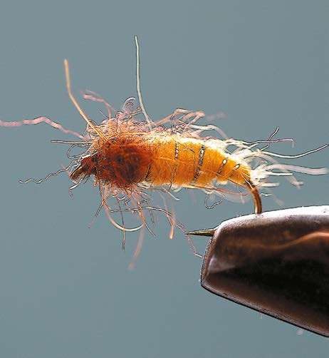 Nymphe jaune plombée imitant une larve de trichoptère
