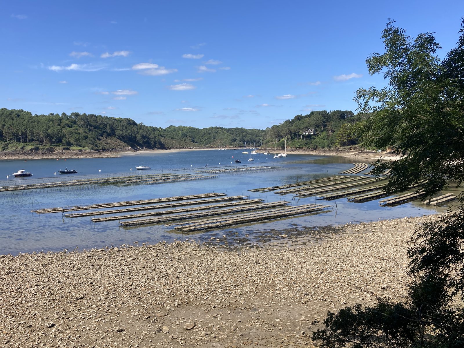 Tables à huîtres découvertes à marée basse dans une anse bretonne