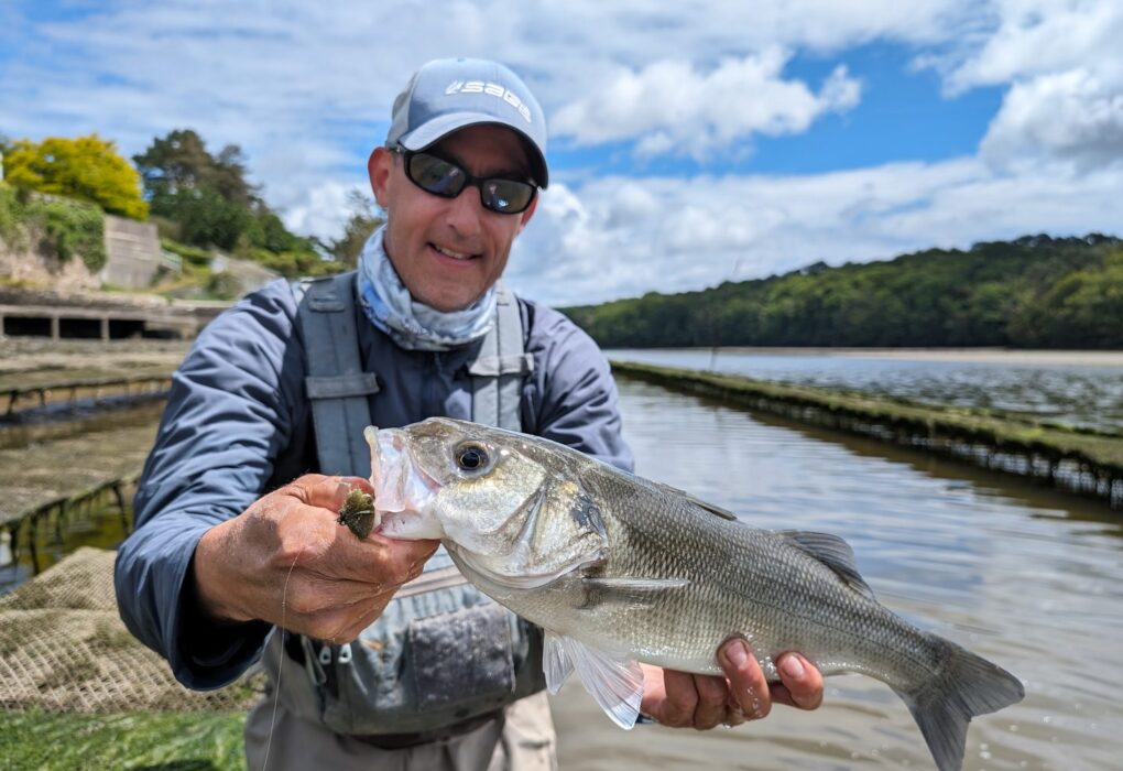 Jean-Baptiste Vidal tenant un bar pris à la mouche devant des parcs à huîtres, à marée basse en Bretagne