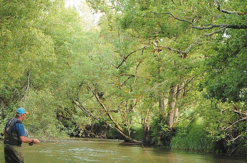 Pêcheur à la mouche noyée lançant en trois-quarts aval dans le courant d’une rivière