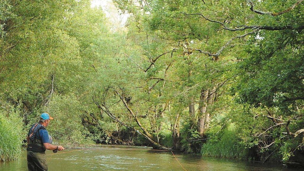Pêcheur à la mouche noyée lançant en trois-quarts aval dans le courant d’une rivière