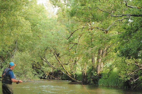 Pêcheur à la mouche noyée lançant en trois-quarts aval dans le courant d’une rivière