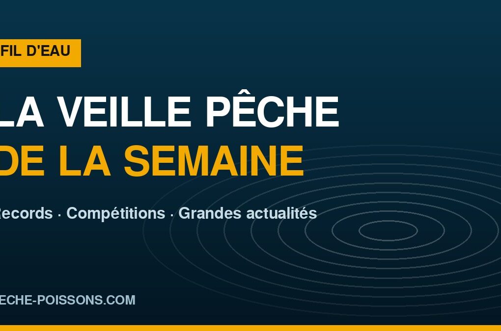 La veille pêche de la semaine sur peche-poissons.com : records, compétitions et grandes actualités