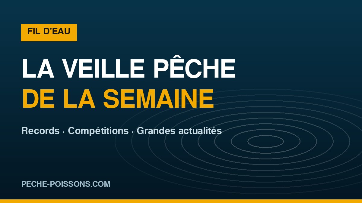 La veille pêche de la semaine sur peche-poissons.com : records, compétitions et grandes actualités